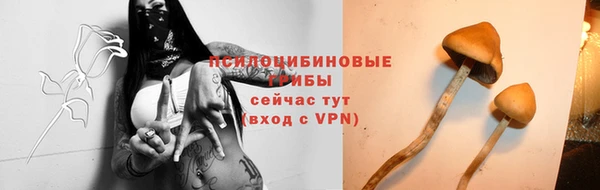 стафф Краснотурьинск