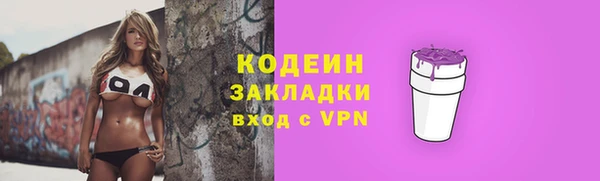 стаф Краснослободск