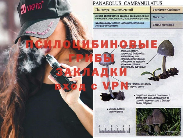 стафф Краснотурьинск