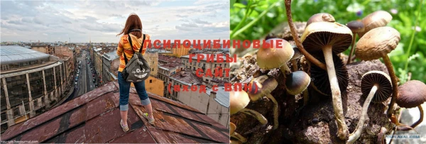 стафф Краснотурьинск