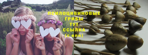 стаф Краснослободск