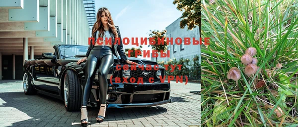 стаф Краснослободск
