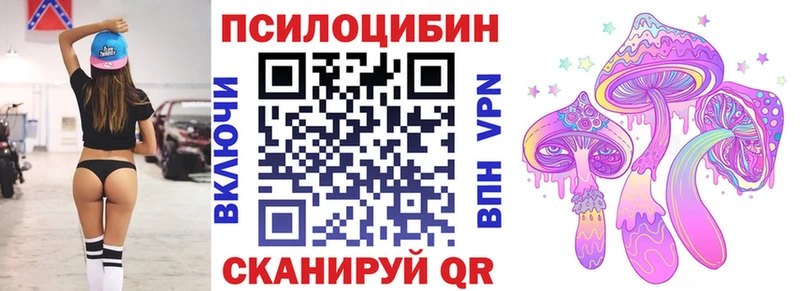 Купить закладки  Александровск  Галлюциногенные грибы GOLDEN TEACHER 