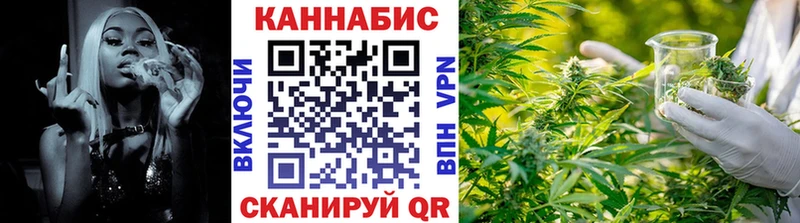 Купить закладки  Александровск  МАРИХУАНА ГИДРОПОН 